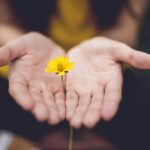 holding a daisy with care and love